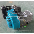 BISON CHINA TaiZhou para a venda 5.5Hp Motor Motor Gasolina Motor Loncin